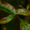 DSC01680-2