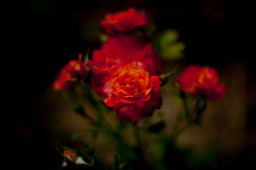 DSC_4089min