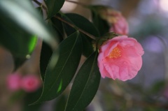 IMG_4859min