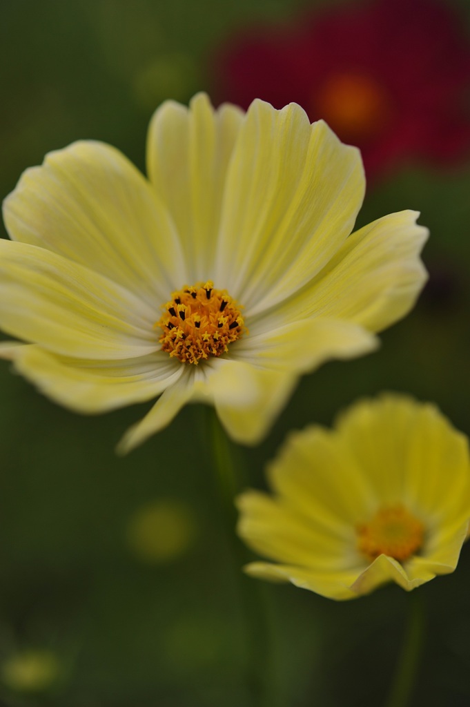 DSC_0783min
