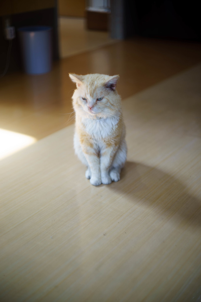一人佇む
