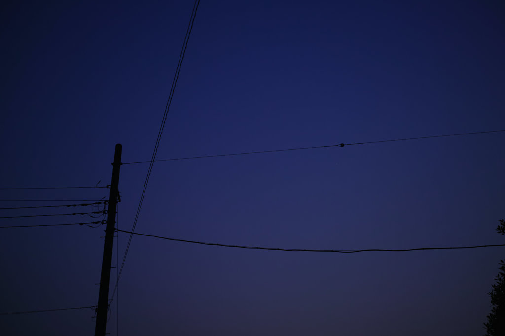 寂しい夕暮れ