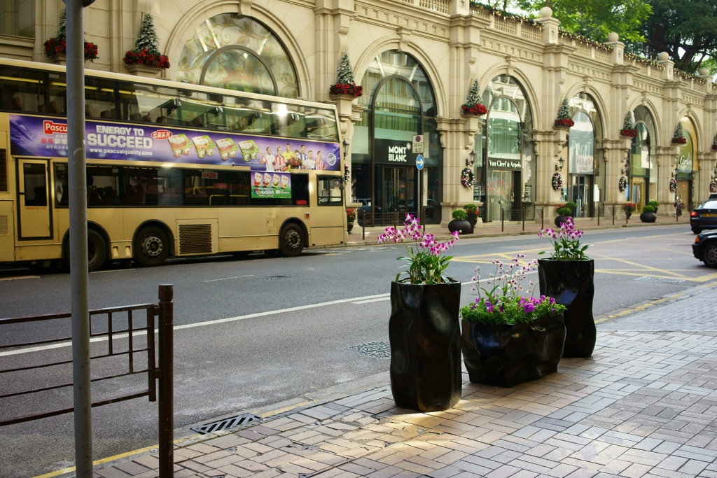 香港の朝