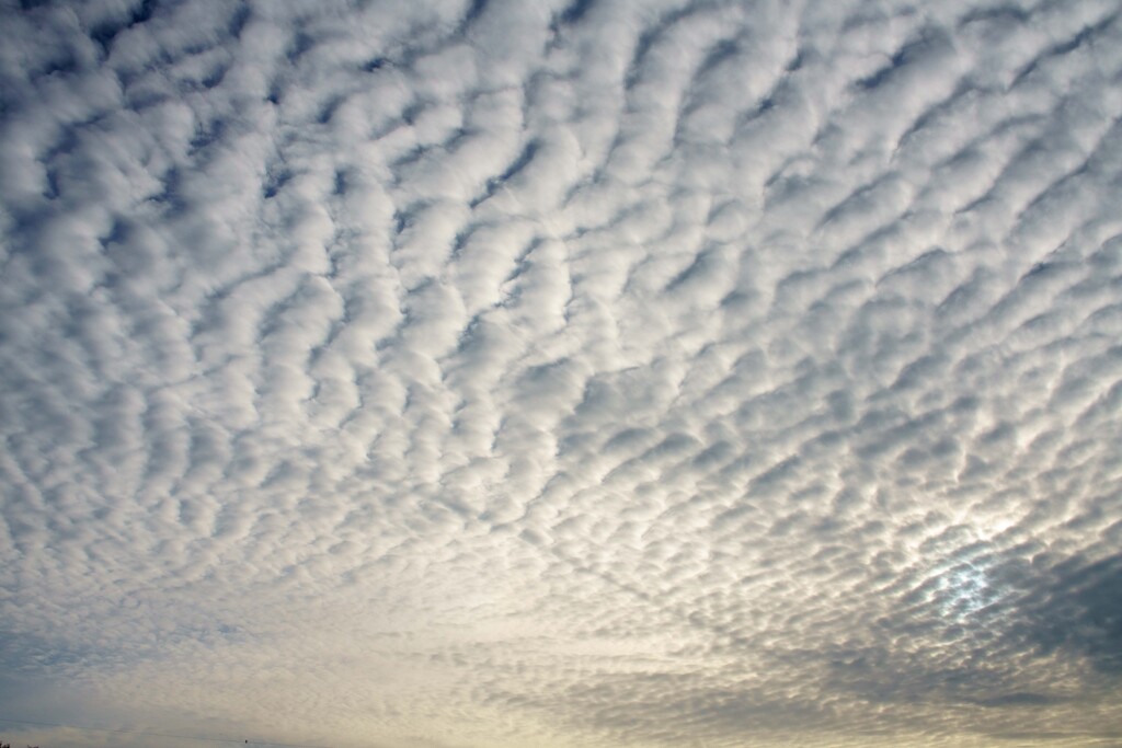 鱗雲