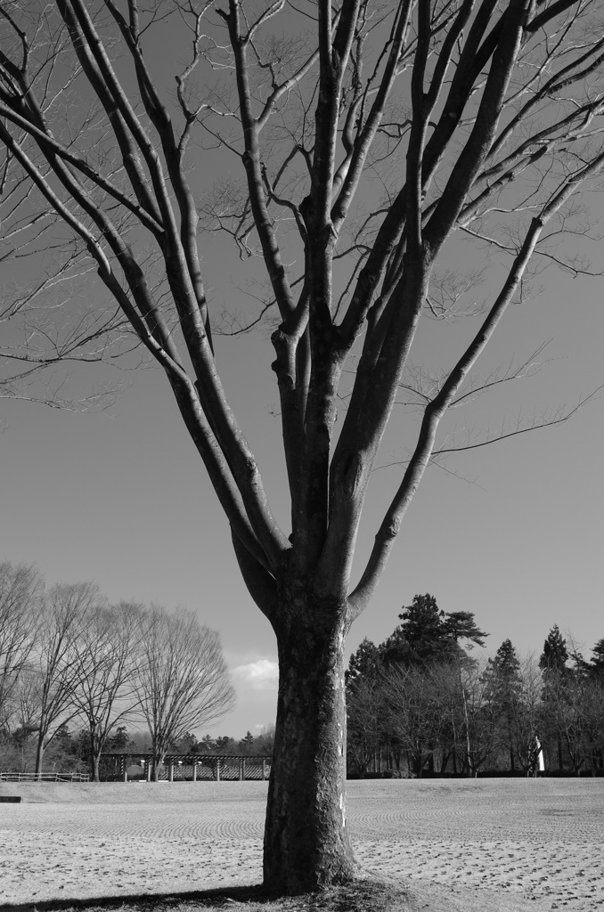 IMGP0283min