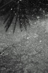 激しい雨