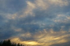 夕暮れ20251012