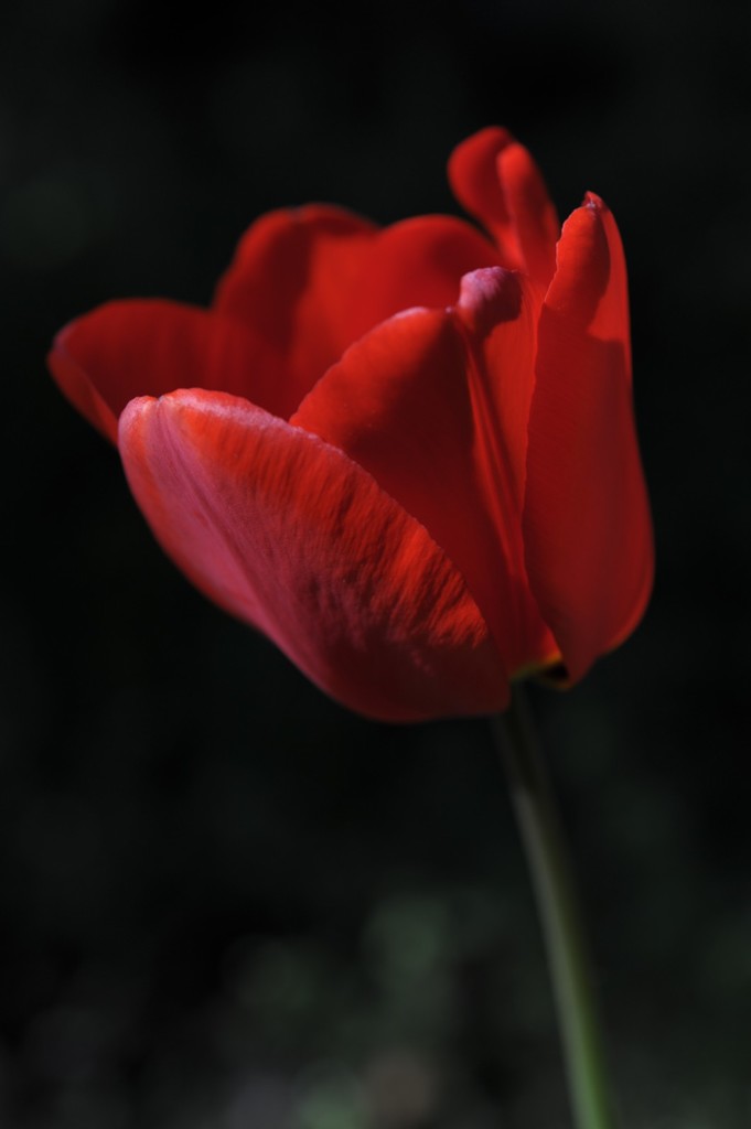 DSC_014min