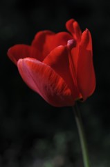DSC_014min