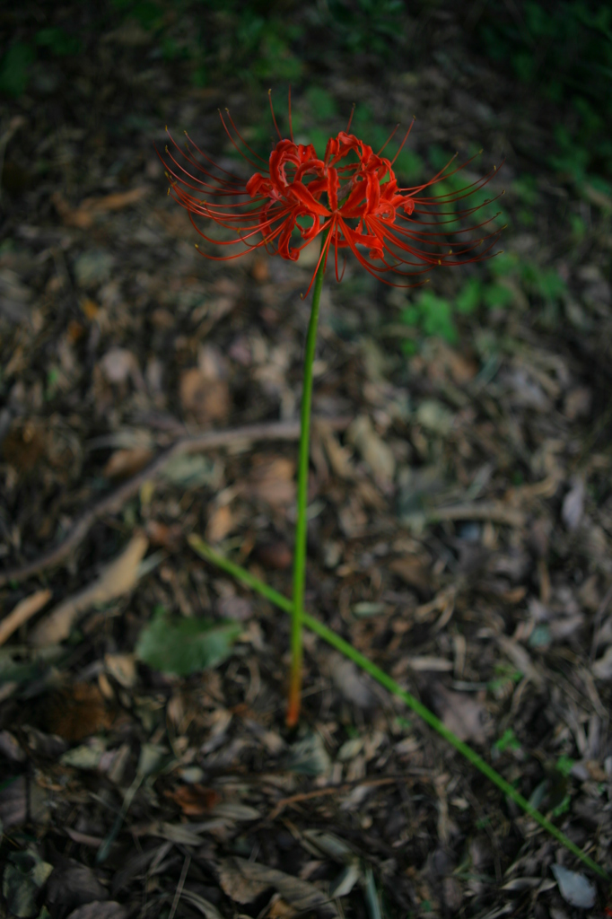 IMG_5763