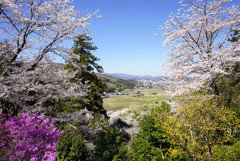 春の里山