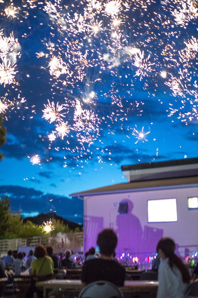 夏の夜の夢