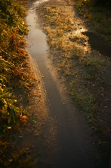 雨上がり