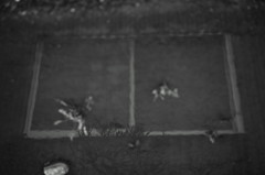 窓