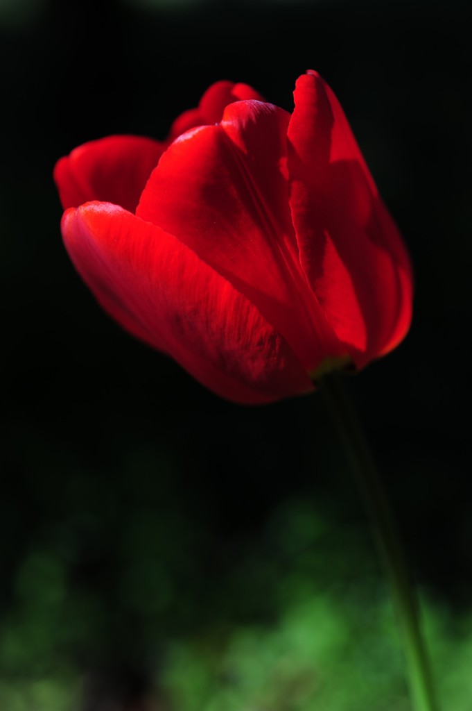 DSC_015min