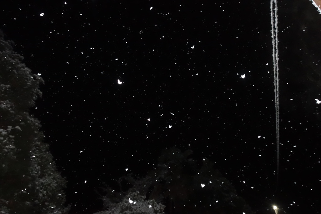 気づいたら雪が・・・