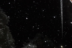 気づいたら雪が・・・