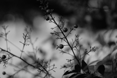 何となくモノクロ1