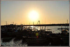 漁港からの夕日