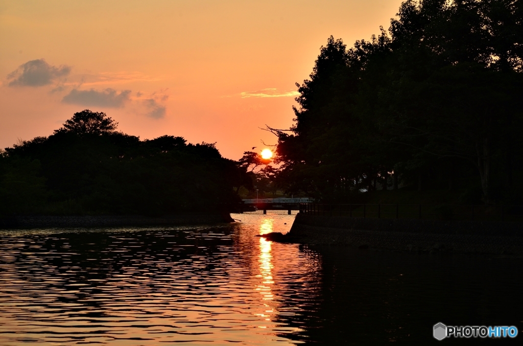 夕方の常盤公園