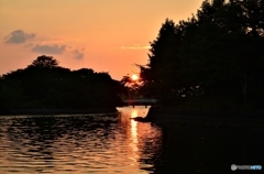 夕方の常盤公園