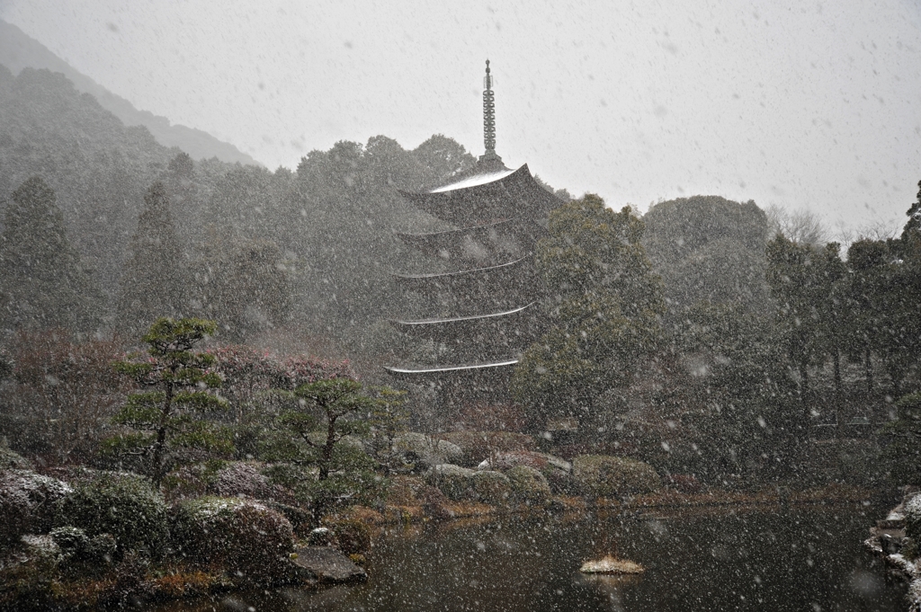 山口瑠璃光寺五重塔