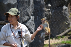 常盤動物園
