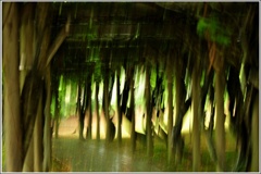 錯覚には見えないよね