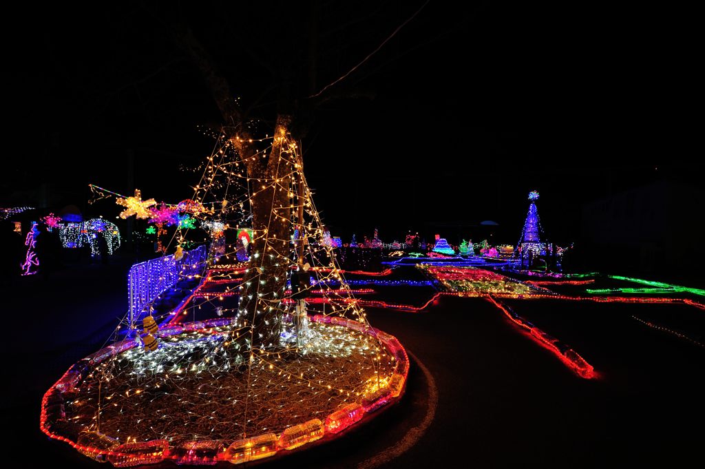 宇部常盤公園イルミネーション By Takahashi Id 写真共有サイト Photohito