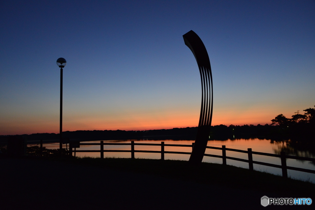 早朝の常盤公園ロクの散歩