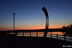 早朝の常盤公園ロクの散歩