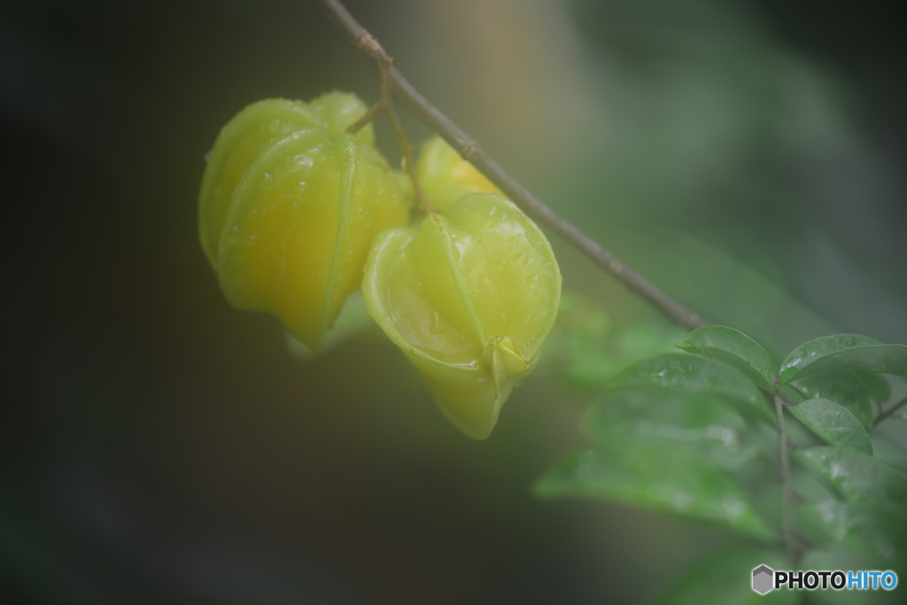 ときわミュージアム内