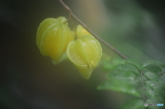 ときわミュージアム内