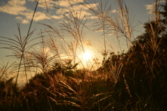 熊本県小国の夕方の風景