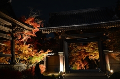 蓮光寺ライトアップ