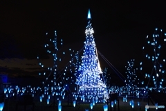 2024年常盤公園イルミネーション