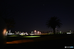 夜の宇部空港横の公園