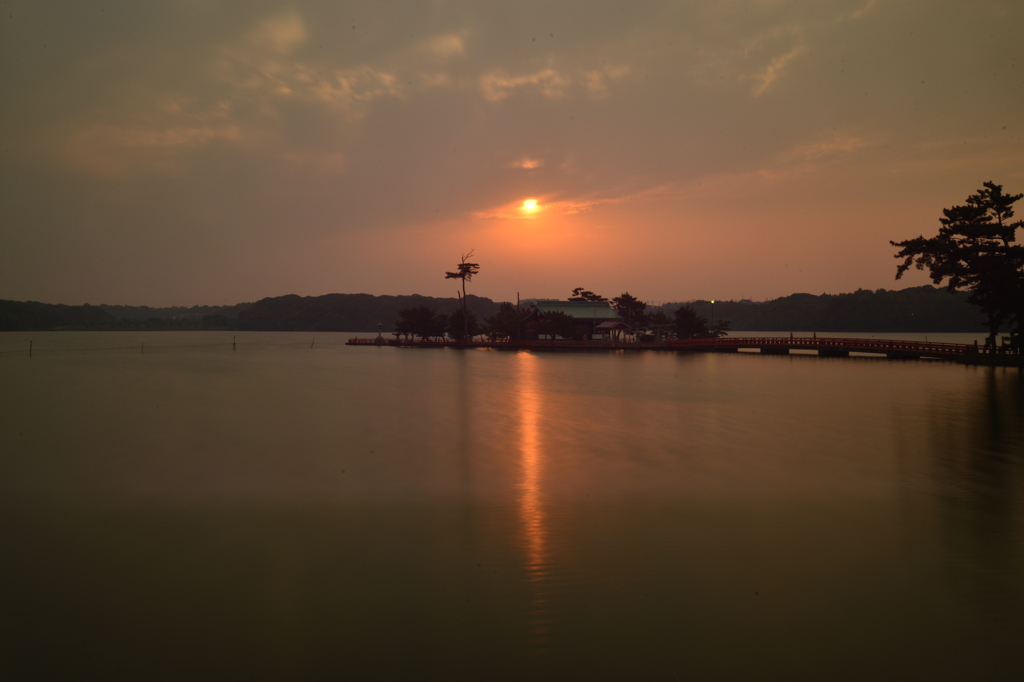 今朝の常盤神社ロクの散歩
