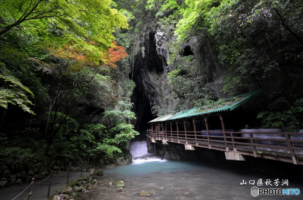 山口県秋芳洞