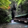 山口県秋芳洞