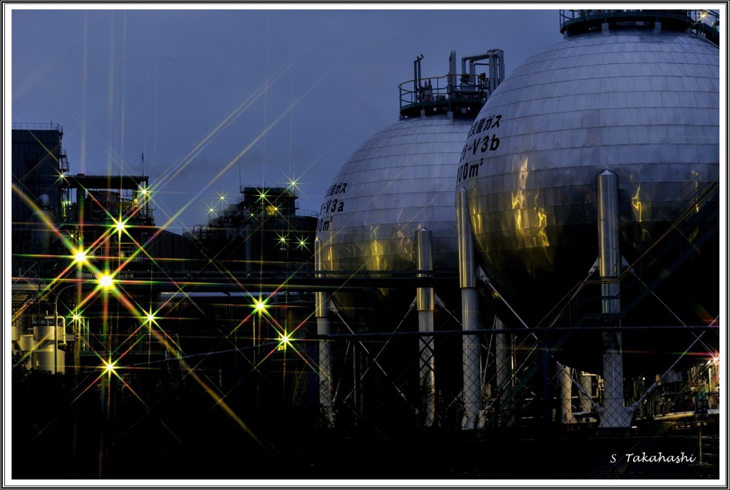 早朝、魚釣りに