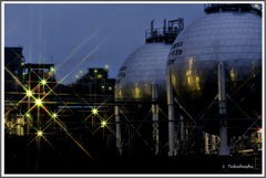 早朝、魚釣りに