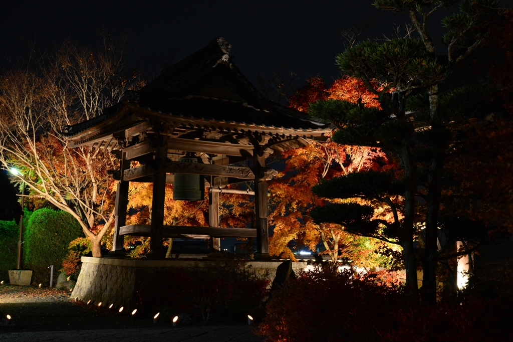 蓮光寺ライトアップ