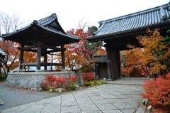 宇部市蓮光寺