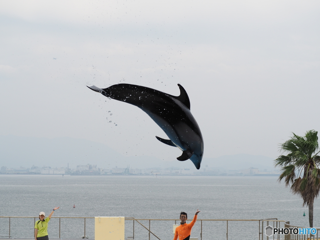 マリンワールド海の中道