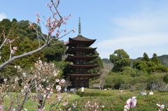 今日の瑠璃光寺五重塔