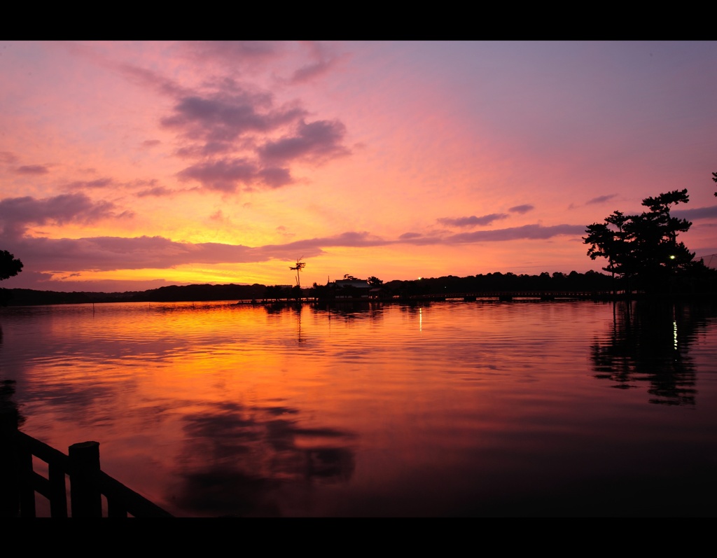 常盤公園の早朝の散歩で出会った光景