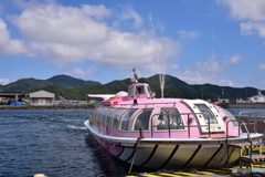 青海島遊覧船