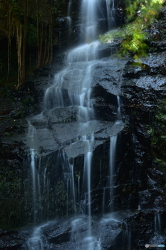 龍蔵寺の滝