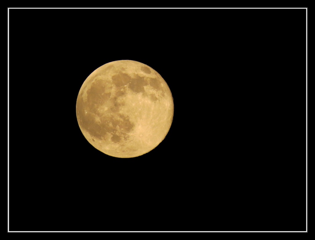 今夜の月